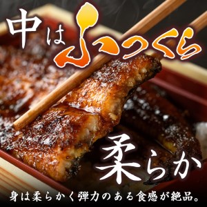 i799 鹿児島県産 鰻重(1人前) うなぎ 鰻 ウナギ うな重 国産 鹿児島県産 おかず 晩御飯 特別な日 土用の丑の日【とらふぐ家】