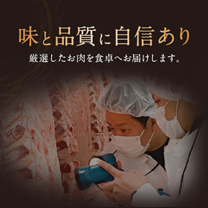 【全6回】黒毛和牛の肉の旨み堪能セット K098-T04 肉 牛肉 冷凍