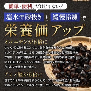 宍道湖産 冷凍しじみ Lサイズ 2kg（200ｇ×10袋)  殻幅14mm～16mm）| しじみ