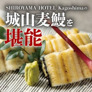 SHIROYAMA HOTEL kagoshima 城山麦鰻 K096-007 うなぎ ウナギ 鰻 ブランド鰻
