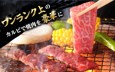 【全3回定期便】焼肉 上 カルビ 500g 長崎和牛 A4?A5ランク 【野中精肉店】 [VF34] 肉 牛肉 カルビ 焼き肉 キャンプ BBQ バーベキュー 定期便