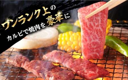 【全12回定期便】焼肉 上 カルビ 500g 長崎和牛 A4?A5ランク 【野中精肉店】 [VF36] 肉 牛肉 カルビ 焼き肉 キャンプ BBQ バーベキュー 定期便