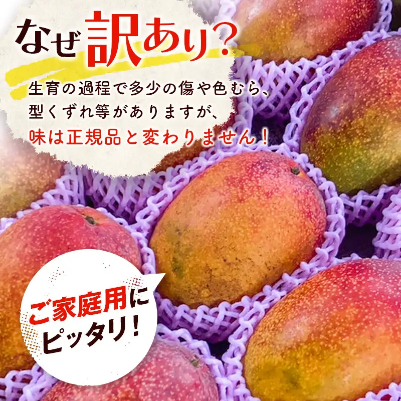 《2026年発送》【数量・期間限定】宮崎特産品「訳あり」宮崎県産完熟マンゴー 1.5kg(3玉～5玉) マンゴー 完熟マンゴー 果物