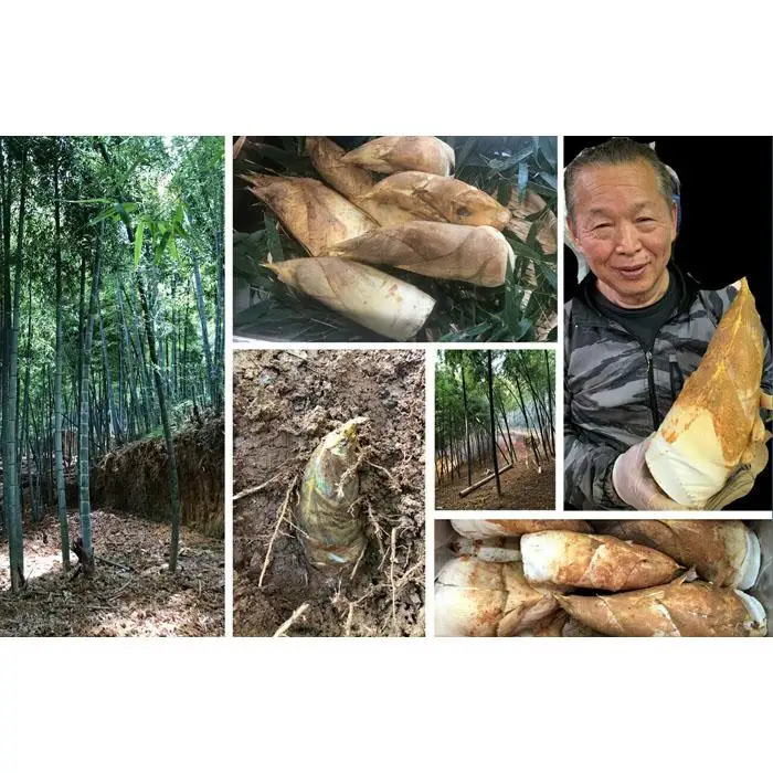 藤原竹工房　たけのこご飯の素２合用×２袋