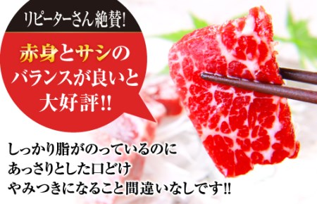 ”熊本馬刺しの真骨頂”霜降りを楽しむセット 50g×10P（計500g）専用醤油付き 中トロ 馬肉 058-0269