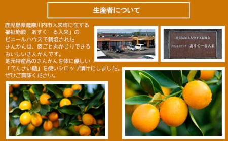 ジュわっとジューシーきんかんの甘露煮 3袋 ZS-796