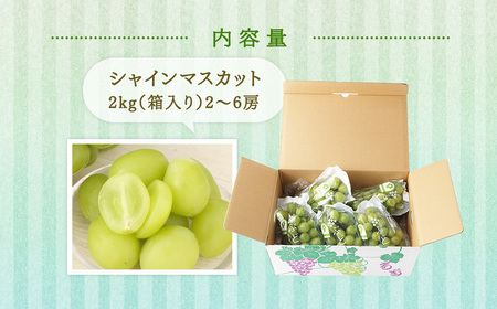 【先行予約】【数量限定】シャインマスカット2kg　(2～6房) 「2026年7月下旬より順次出荷予定」 BS-714