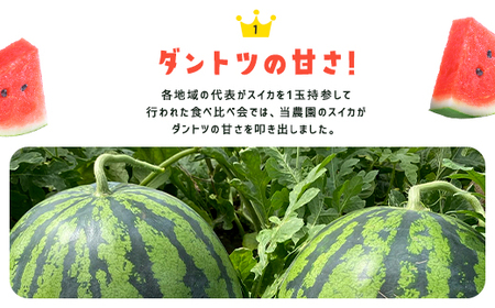 【先行予約】【6月上旬から発送】レッドサンスイカ（約8kg～約9.8kg×1玉）【 ふるさと納税 人気 おすすめ ランキング レッドサン スイカ 西瓜 すいか 西瓜 果物 フルーツ 国産 産地直送 甘い 野菜 千葉県 山武市 送料無料 】SMAF001