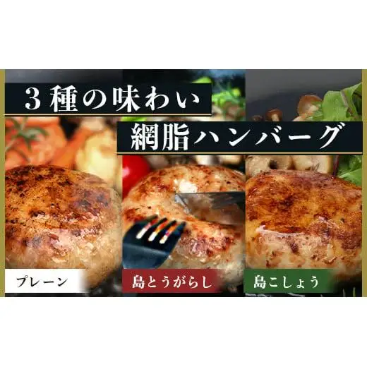 石垣島産 やえやまファームのアグー豚(南ぬ豚) 網脂ハンバーグ食べ比べセット(3種×各2個) 