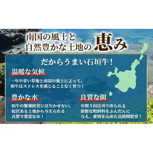やえやまファームの石垣牛ハンバーグ 6個セット E-27