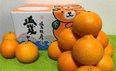 【2026年12月上旬から順次発送】愛媛が誇る最高級柑橘【愛果28号】ご家庭用6kg(30個前後)　あいか ご家庭用 みかん 数量限定 みかん 愛媛県産 みかん 愛果28号 松山市 みかん 愛果28号 みかん 蜜柑 愛果28号 ミカン みかん 旬 愛果28号 愛媛県 松山市【AB0022】