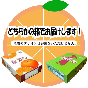 【2026年12月上旬から順次発送】JAえひめ中央【紅まどんな】化粧箱1箱 3kg 愛媛 みかん 紅マドンナ 紅まどんな 蜜柑 柑橘 果物 贈答 愛媛のみかん くだもの フルーツ 愛媛県 松山市【AB0062】