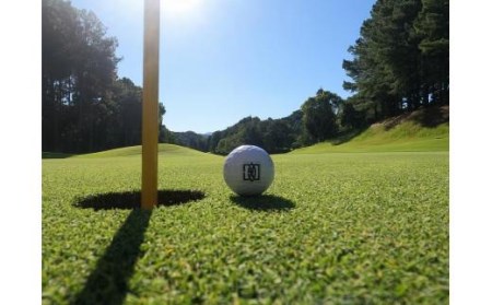 道後温泉から約10分！【平日】4名様分セルフプレー券 松山おすすめ ｺﾞﾙﾌｰｺﾞﾙﾌｰｺﾞﾙﾌｰ【DKG002_x】