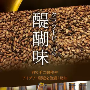 クラフトビール　飲み比べおすすめ6種12本セット　ビールコンテスト受賞の醸造所 Yell&Ale Brewery H01004