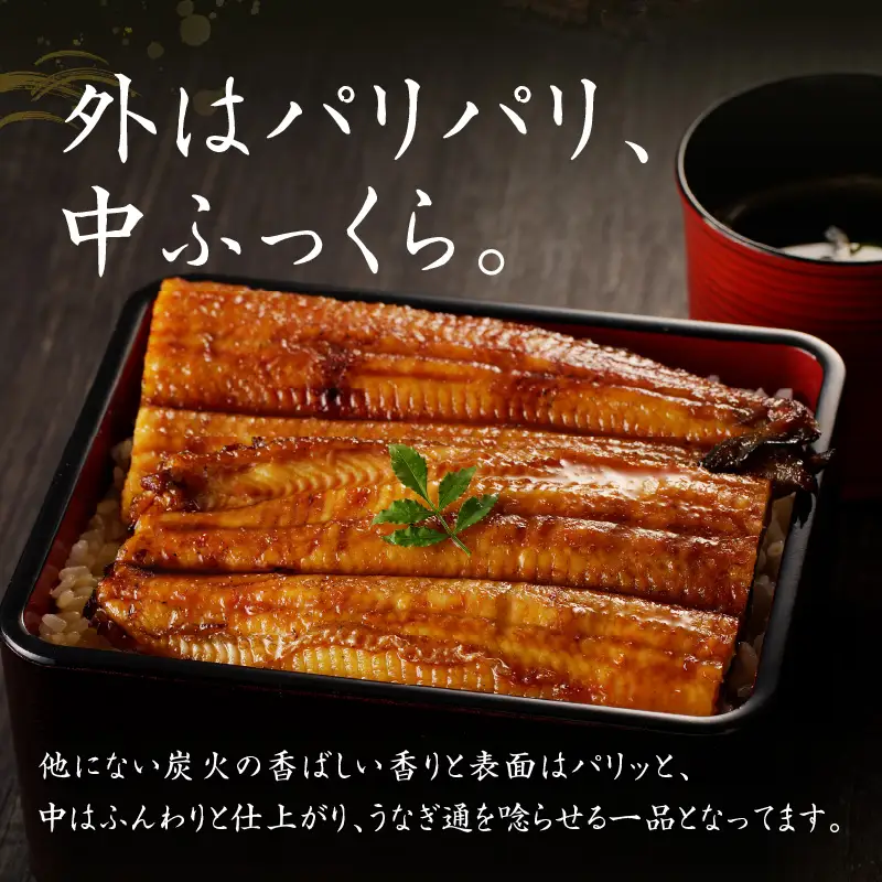 【特別規格】国産うなぎ蒲焼 320g以上（大サイズ2尾）