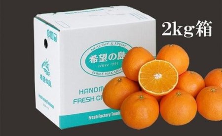年末SALE！ お得なセット2L、Ｌサイズ混合2箱計10キロ贈答に　あいか28号 紅まどんなと同品種】 愛果28号 家庭用 2.5kg 【先行予約 2026年11月