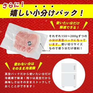 鹿児島県産 黒豚しゃぶしゃぶ セット1kg 西精肉店 IB119-001 黒豚 黒豚