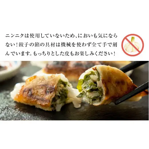 わかめ餃子　48個セット 冷凍 石巻市 十三浜産わかめ使用