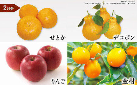 【年6回定期便】くまもと 旬のフルーツ極み 定期便 ① ｜ フルーツ くだもの 果物 旬 旬の果物 熊本県産 