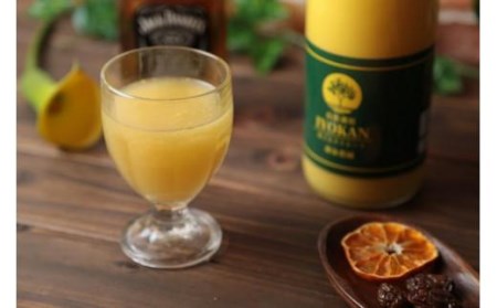 みかんジュース 100％ 宮内伊予柑 300ml×6本 | みかんジュース みかんジュース みかんジュース みかんジュース【IZ002_x】