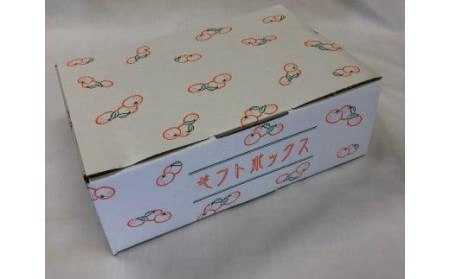 【 柑橘寒づくりゼリー】 いよかん ゼリー 12個 セット おやつ お子様 子ども【JZE0021】