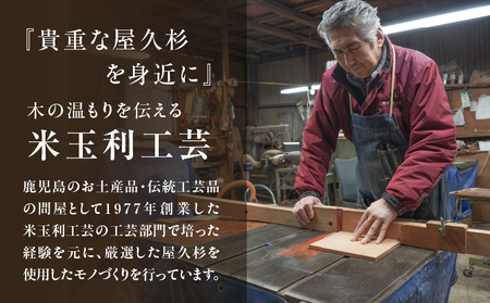 屋久杉 高級 一膳 箸 女性用（ 22cm ） K042-009_1
