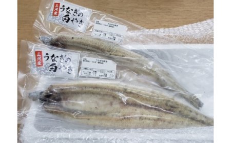 愛知三河産のうなぎ白焼き(特々大サイズ！2尾合計400～450g)タレ付・K008-21