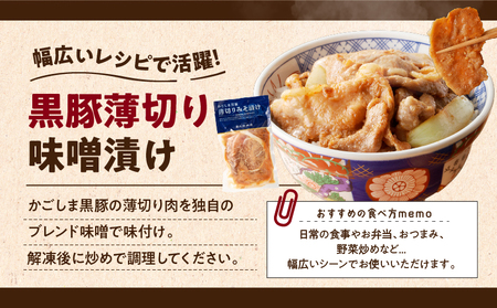 【7営業日以内に発送】【 岩元精肉店 】鹿児島県産 贅沢 お惣菜 詰合せ セット A K045-009 肉 豚肉 惣菜 総菜 冷凍 ハンバーグ スピード配送 最短 すぐ届く お急ぎ