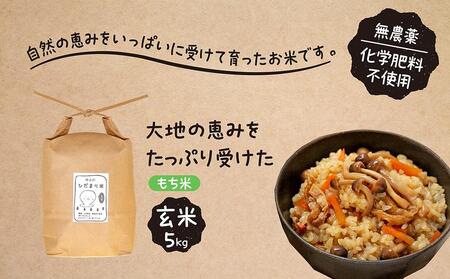 【無農薬・化学肥料不使用】大地の恵みをたっぷり受けた もち米（玄米）5kg