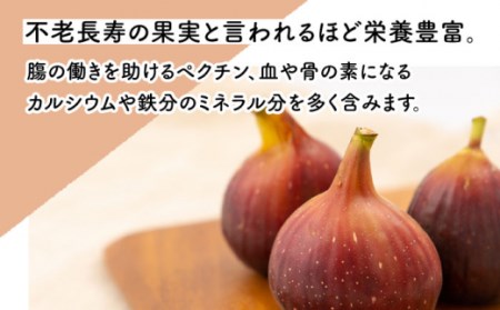 いちじく 約300g×4パック [OCU004] いちじく イチジク
