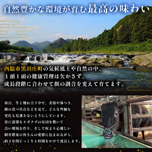 【数量限定・神戸ビーフ】三角バラ切り落とし:400g【最短7営業日発送】黒田庄和牛 (tokusan-37)【冷蔵】