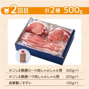 【岩元精肉店】鹿児島県産黒毛和牛・かごしま黒豚 味わい2か月お届けコース K045-T03 肉 豚肉 牛肉 冷凍