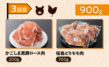 【 岩元精肉店 】 鹿児島県産 精肉 厳選 4か月 お届け コース K045-T04 肉 豚肉 牛肉 鶏肉 冷凍