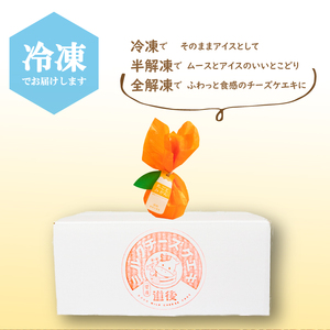 丸ごとみかんチーズケエキ 10個セット チーズケーキ お菓子 スイーツ おやつ ケーキ チーズケーキ スイーツ ケーキ チーズケーキ 道後 愛媛県 松山市【ME004_x】