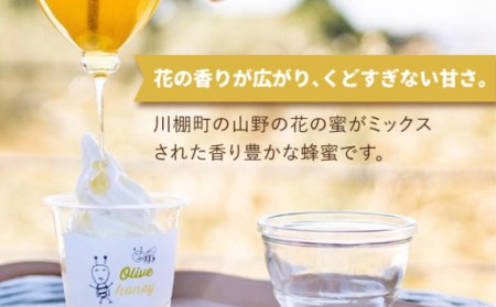 【3回定期便】百花蜜 国産天然はちみつ 200g × 3本〈嬉しい贈答箱入り！〉【オリーブハニー】[OCG006]