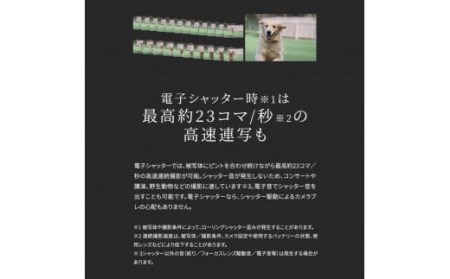 【Canon】キヤノン ミラーレス カメラ EOS R10 レンズキット 18-45ｍｍ キャノン_0024C