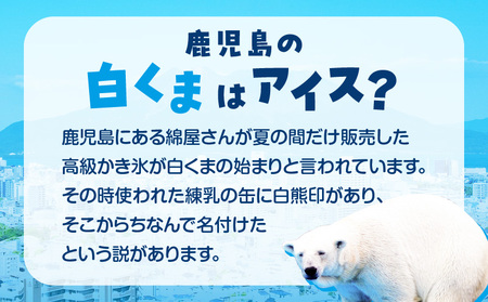アイス 白くま 12個 セット 【 セイカ食品 南国 白くま 】 K051-003 冷凍