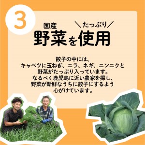 ちゃこばあちゃんの黒豚入りうんまか生餃子 60個入り K027-001 肉 豚肉 惣菜 総菜 冷凍