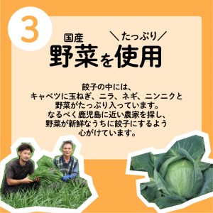 ちゃこばあちゃんの黒豚入りうんまか生餃子 96個入り K027-002 肉 豚肉 惣菜 総菜 冷凍