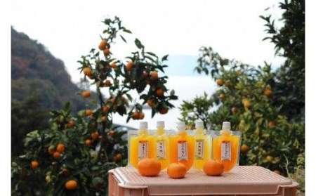 ちゅうちゅうゼリー (175g×8本) | ゼリー おやつ お子様 子ども【OF0011】