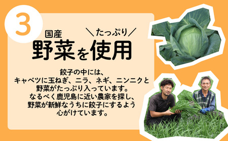 ちゃこばあちゃんの黒豚入りうんまか・しそ生餃子 計44個入り K027-004 肉 豚肉 惣菜 総菜 冷凍