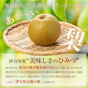 【令和8年産先行予約】伊万里梨 「幸水」 約5kg ご自宅用におすすめ 178-B938