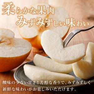 【令和8年産先行予約】伊万里梨「新高」 5kg 大型種 178-B942
