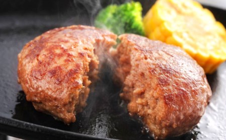 熊本名物セット① 馬刺し(赤身)100g 辛子れんこん300g 熊本和牛あか牛ハンバーグ150g×3 セット
