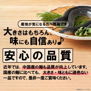 うなぎの蒲焼ビッグサイズ　2尾（計600g前後）_K04705