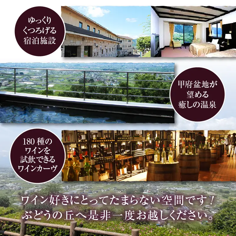 ワイン 勝沼ぶどうの丘推奨一升瓶ワイン 6本セット（KBO）H-650