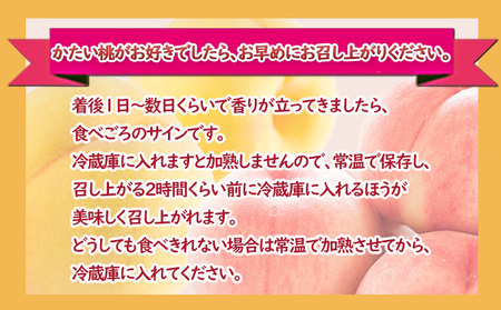 桃 約5kg 3種お任せ あかつき なつっこ 黄金桃 果物 もも 3種類 白桃 黄桃 産地直送 長野県 小諸市