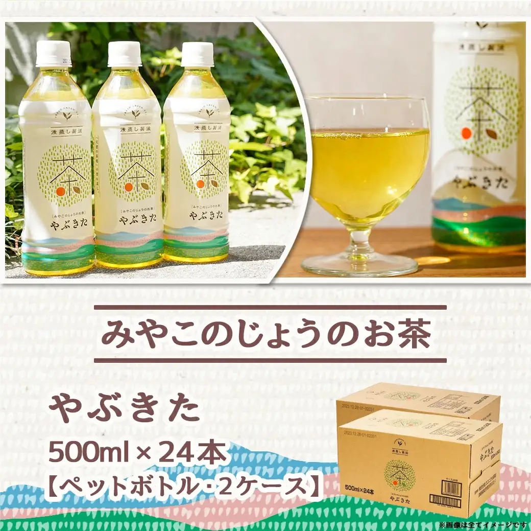 【みやこのじょうのお茶】やぶきた500ml×24本(2ケース)〔AD-I501〕_(都城市) お茶 ペットボトル 500ml 24本 2ケース