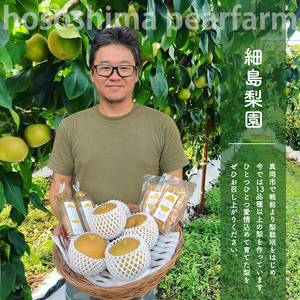 【2026年先行予約】すりおろし梨と玉ねぎのドレッシング 300ml×2本