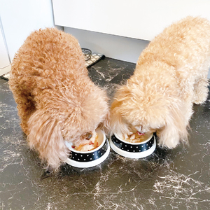 猫 犬 おやつ ペットフード マルトモ かつおだいすき プレミアム 30g×5袋 鰹節 高たんぱく 低脂肪 国産 国内加工 保存料 着色料 不使用 大容量 お徳用 伊予市｜B122
